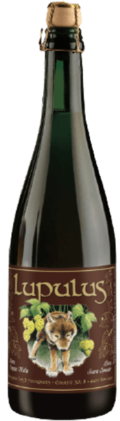 LUPULUS BRUNE 8,5° VC 75CL