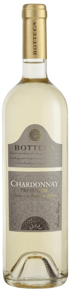 CHARDONNAY IGT TREVENEZIE BOTTEGA SPA 2024 BLANC